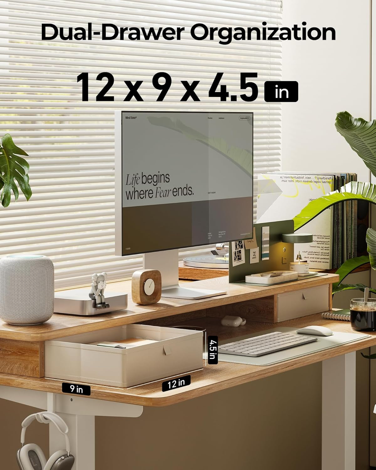 48 X 24 Inch Height Adjustable Electric Standing Desk with Double Drawer, Computer Desk, Home Office Stand up Table with 4 Height-Adjustable Feets & 2 Hooks, Maple